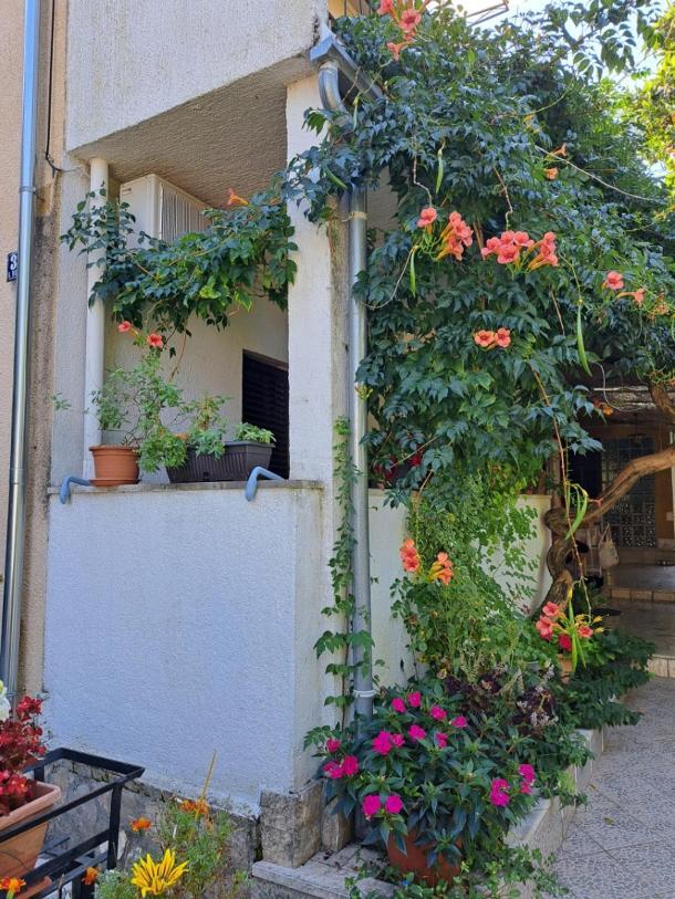 Accomodation Mirjana Rooms Porec Ngoại thất bức ảnh